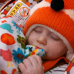 Meet your Posher, Bobbie